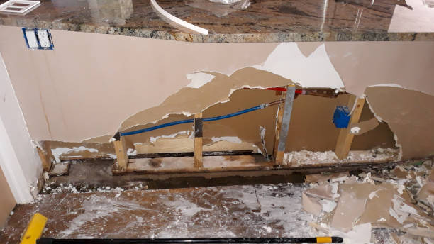 Best Fire Damage Restoration  in Leona Valley, CA