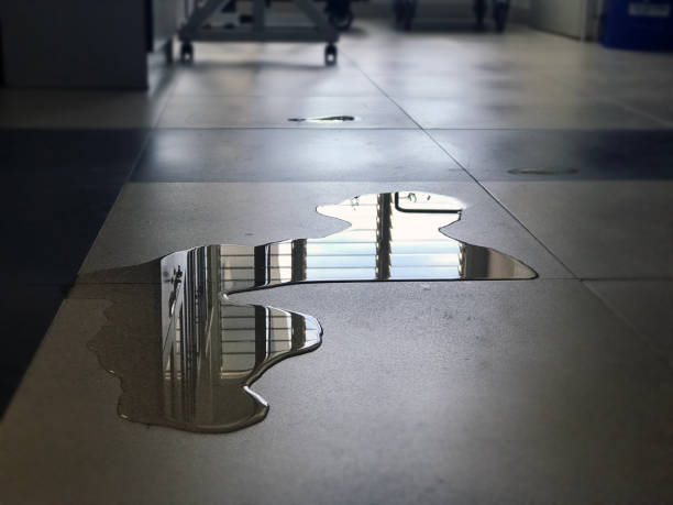 Best 24/7 water damage repair  in Leona Valley, CA