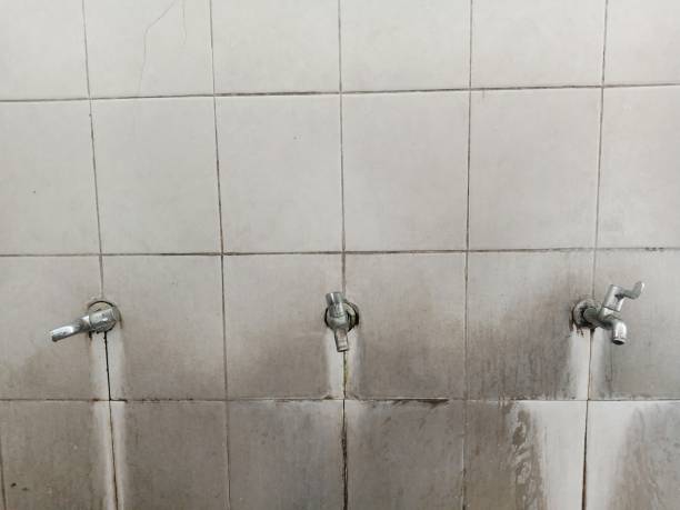 Best 24/7 water damage repair  in Leona Valley, CA