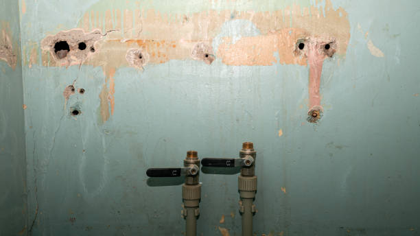 Best Water damage contractors near me  in Leona Valley, CA